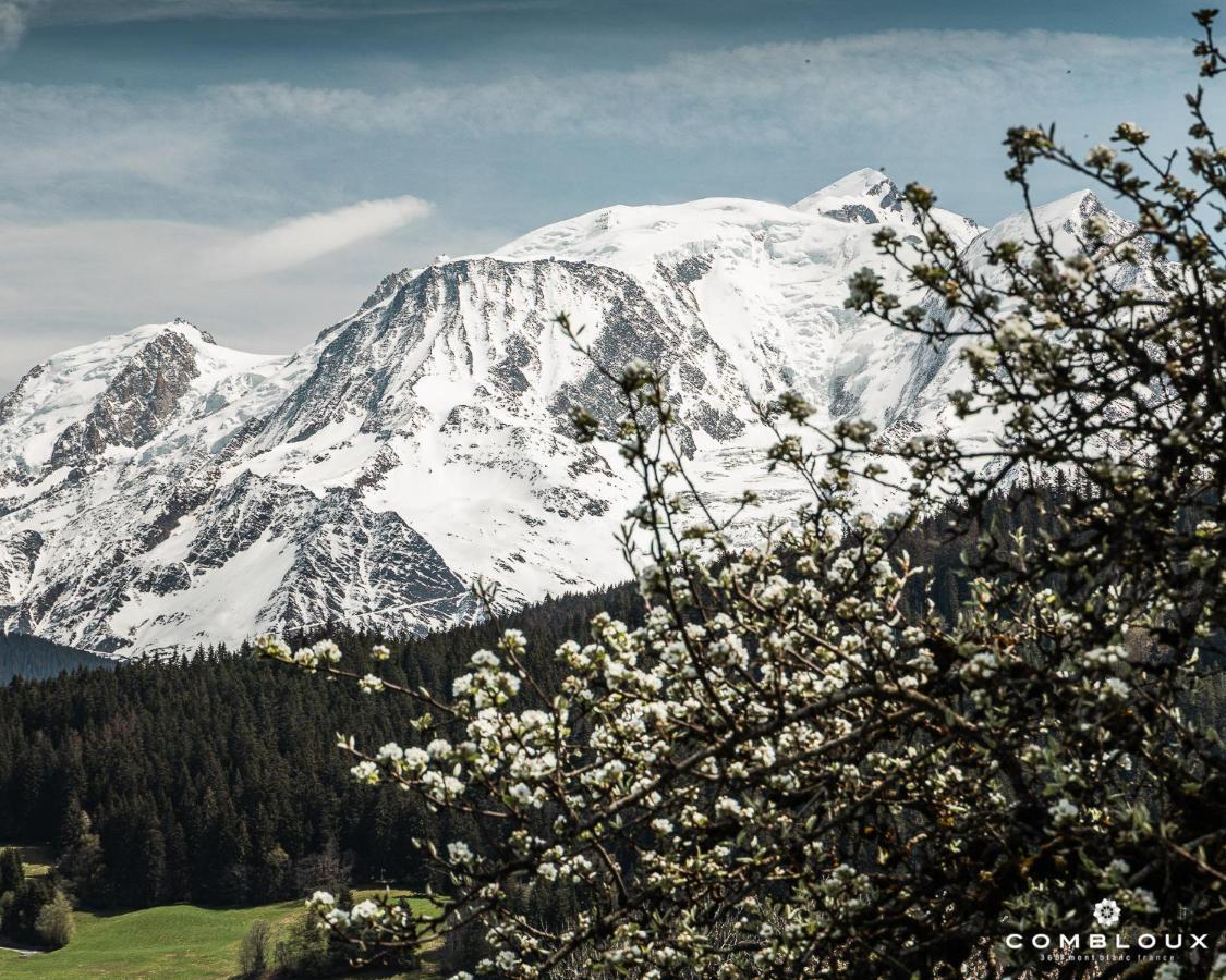 Chalet Alpen Valley, Mont-Blanc Combloux Exterior foto